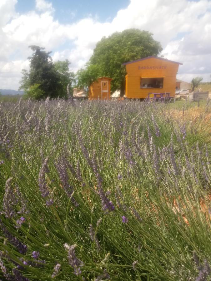 וואלנסול Chambre A La Ferme Au Milieu Des Lavandes מראה חיצוני תמונה